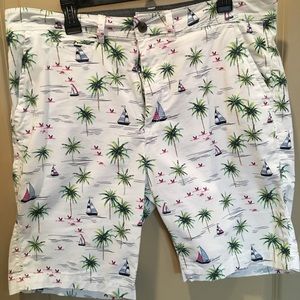 Fun Beach Boat Shorts w Palm Trees